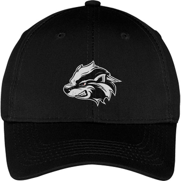 Allegheny Badgers Youth Six-Panel Twill Cap